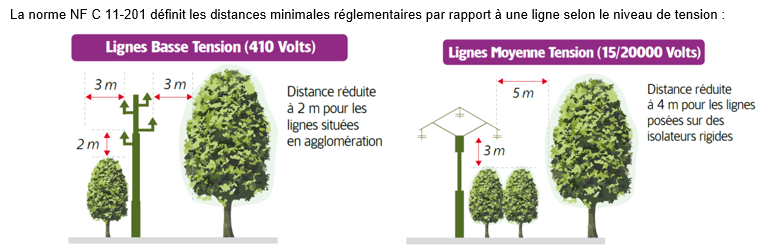 élagage